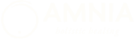 Amnia Holistic Healing
